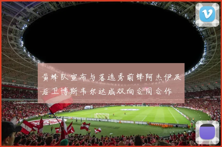 黄蜂队宣布与落选秀前锋阿杰伊及后卫博斯韦尔达成双向合同合作