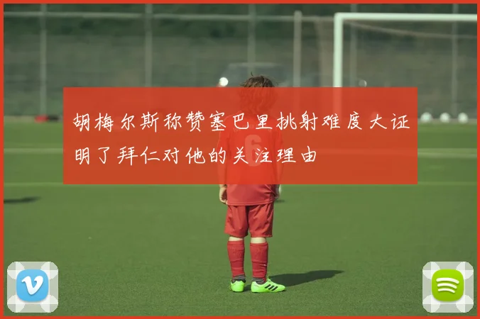 胡梅尔斯称赞塞巴里挑射难度大证明了拜仁对他的关注理由